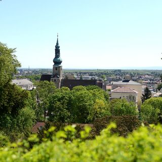 Blick zum Harterberg