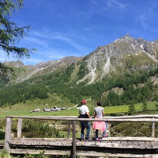 Wunderbarer Ausblick vom Talschluss in der Ursprungalm