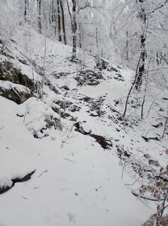 Fotografia z Daniel Kremiec na trase