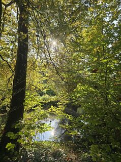 Photo de Michel Kennel le long du parcours
