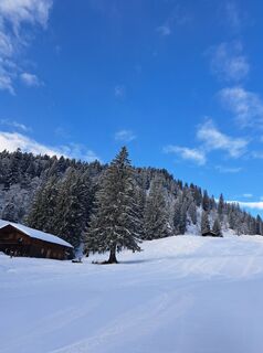 Foto da Michael Rohrmoser lungo il tour