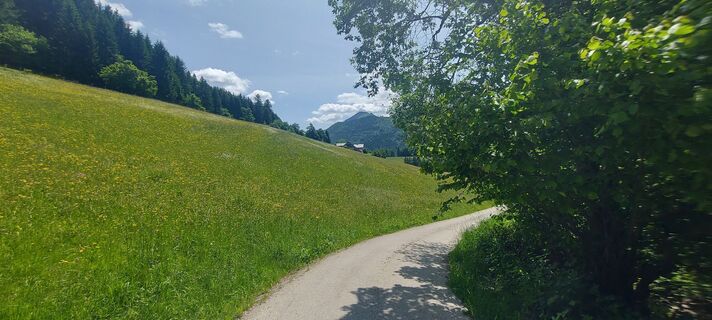 Foto von Klaus Gruber 3 entlang der Tour