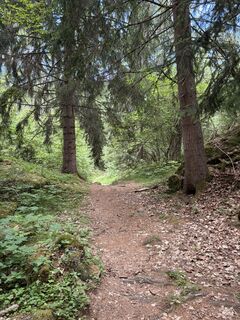 Photo de Stucki Sven le long du parcours