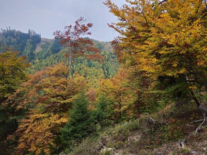 Foto von Lisa Stoiser entlang der Tour