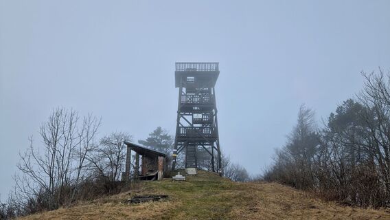 Foto de EP87 a lo largo del recorrido