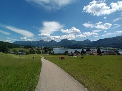 Foto de Barbara Stöglehner a lo largo del recorrido