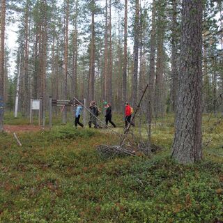 Kokkoharju Weg