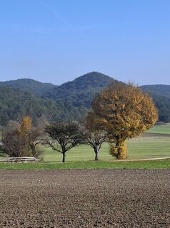 Foto de Ernst Freyenschlag a lo largo del recorrido