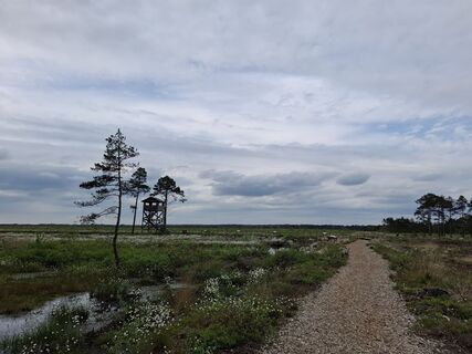Photo de nordbergschnecke le long du parcours