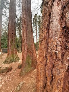 Fotografija s spletne strani ROSARIO FERRAZ na poti