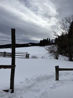 Photo de Reinhard Frewein le long du parcours