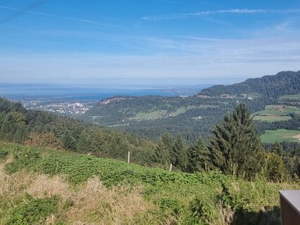 Photo de Felix le long du parcours