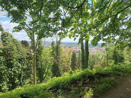 Foto von Reinlinde Trummer Milkovits entlang der Tour