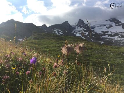 A048 Alpen