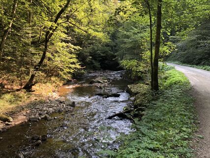 Foto de Peter Bolliger a lo largo del recorrido