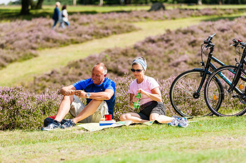 pause-lüneburger-heide-bispingen