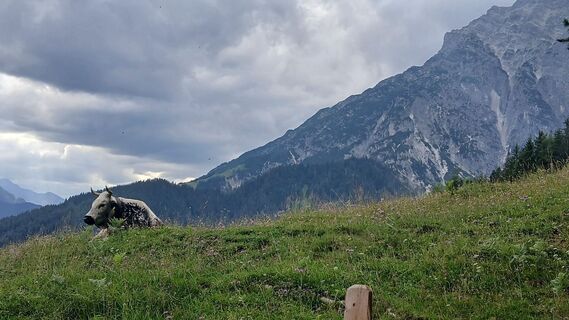 Foto von Fantom RoK entlang der Tour