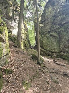 Photo de Florian Habermann le long du parcours
