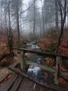 Photo de Daniel Kremiec le long du parcours