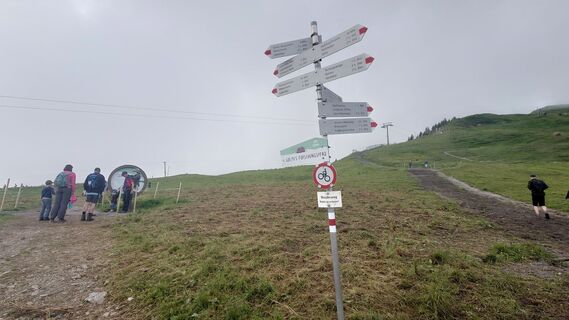Zemljevid