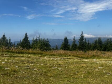Fotografia z Dominik Glatz 1 na trase