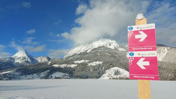 Winterwandern am Mitterberg - mit Ausblick zu Kammspitz und Stoder