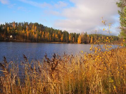 AATE-PEKKA-PFAD