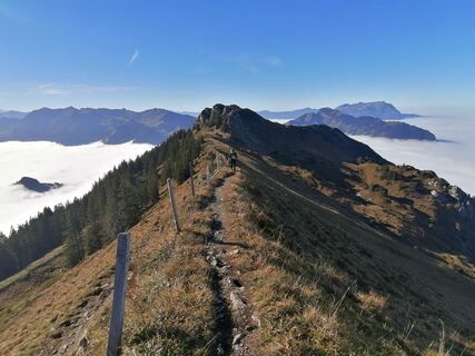 Foto von luyyy entlang der Tour