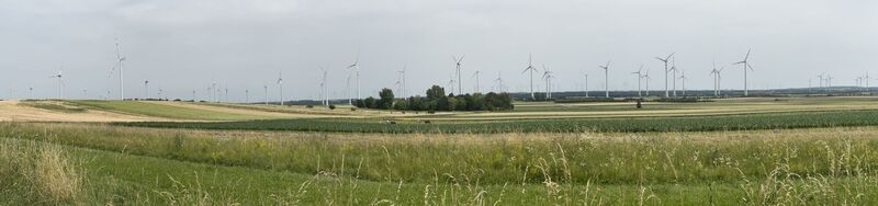 Foto fra Gisela Graser 1 undervejs på turen