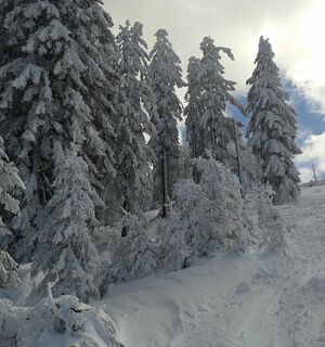 Winterlandschaft