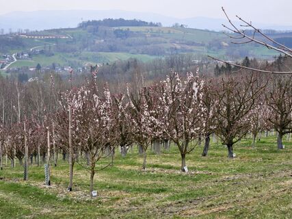 Fotografia z ElkeA na trase