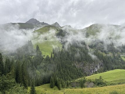 Foto von Grizzli entlang der Tour