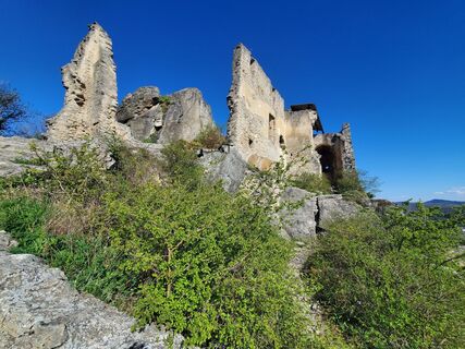 Fotografija s spletne strani Manfred Schierhuber na poti