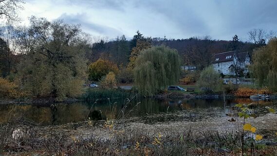 Foto de Wiebke a lo largo del recorrido