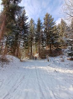 Photo de Angelika Poschinger-Reh le long du parcours