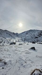 Fotografia z Gerhard Wilding na trase