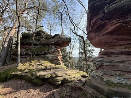 Fotografie z Norbert Herbig na trase