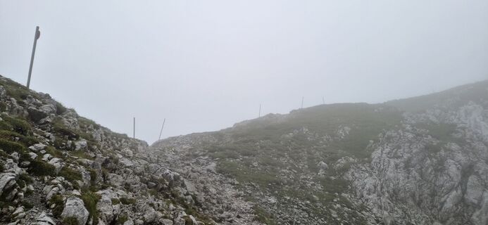 Foto von Julia Fruhmann entlang der Tour