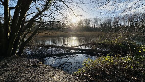 Fotografia z Christian Arndt 1 na trase