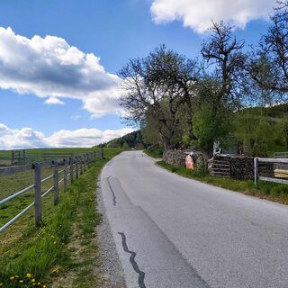 Am Hochweg in Hohenau, Naturpark Almenland in der Oststeiermark