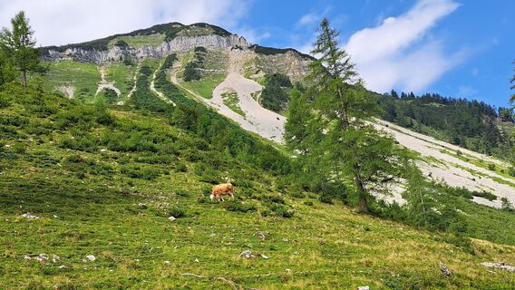 Foto von Gerhard Faugel entlang der Tour