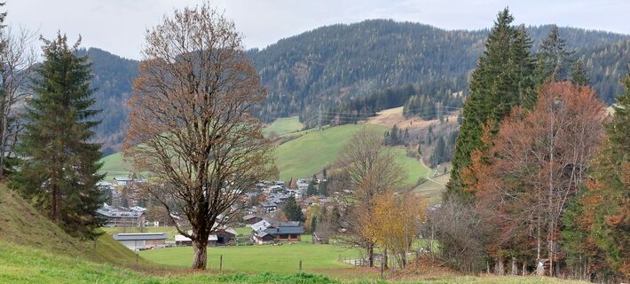 Photo de Waldfred le long du parcours