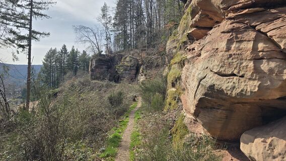 Zdjęcie z Katja Senkel wzdłuż trasy
