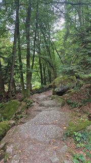 Photo de Florian Habermann le long du parcours