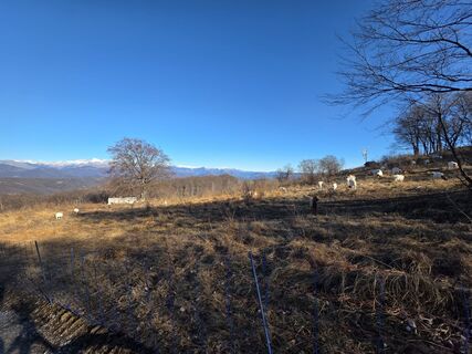 Photo de Stefano Calligaris 1 le long du parcours