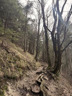 Fotografia z Sanja na trase