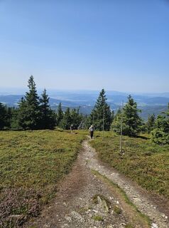 Zdjęcie z Andreas Schneider 7 wzdłuż trasy