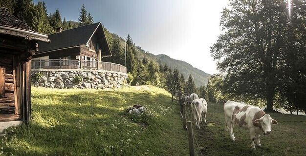 Naturfreundehütte Palfau_.jpg