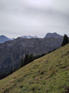 Foto von King Kong entlang der Tour