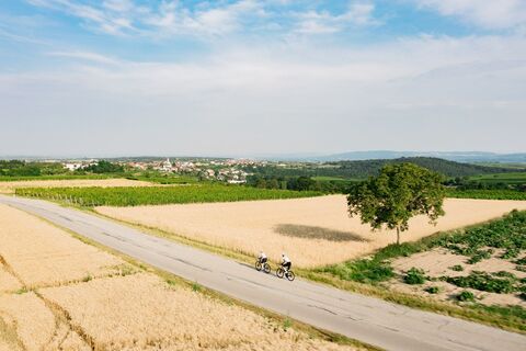 Aussicht auf Stratzing
